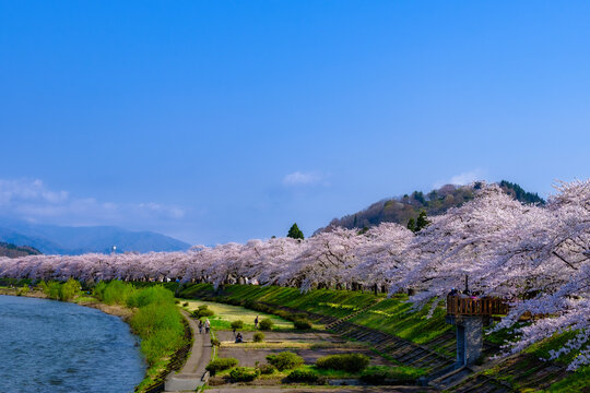 takosuke9998 photos, images, assets | Adobe Stock takosuke9998 photos, images, assets | Adobe Stock