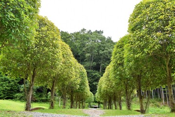 Obraz premium 井上武吉、ダニ カラヴァン、室生山上公園芸術の森、宇陀市、室生