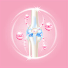 Collagen help heal arthritis knee joint, pain in leg. Healthy bone skeleton x ray scan on pink background. Used for nutrition products food template design. Isolated 3D Vector EPS10.