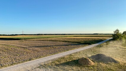 Fototapeta na wymiar cultivated fields before sunset in vicinity of Wlodawa
