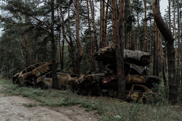 old truck in the forest