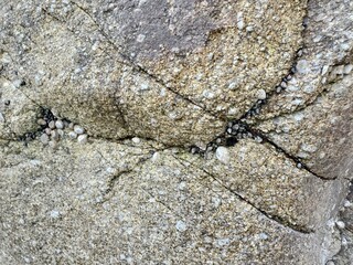 Stone texture 