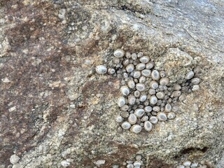 Stone on the bea