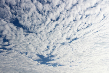Blank sky surface with small clouds