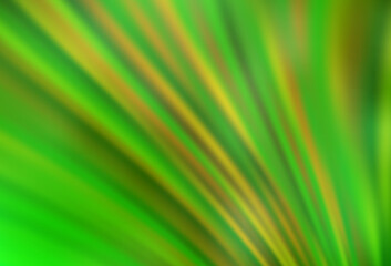 Obraz premium Light Green, Yellow vector modern elegant layout.