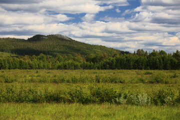 Fototapeta na wymiar Meadows, forests and the small mountain Vithatten in northern Sweden
