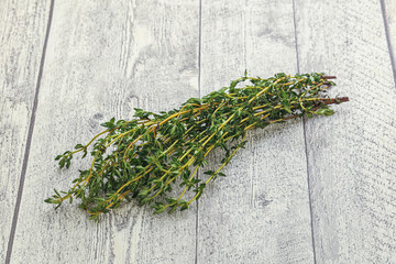 Fresh green Thyme branch heap