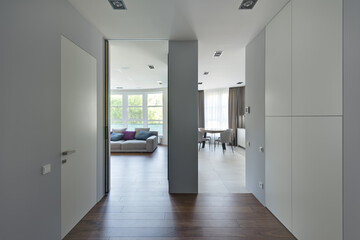modern apartment, modern house interior, living room and kitchen view, hall in front of the living room and kitchen