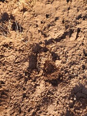 soil texture