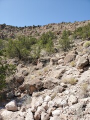 landscape in the desert