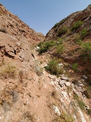 trail in the mountains