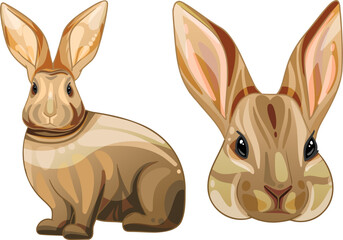 A set of cartoon drawn animals. Rabbit breed of Creme d'argent