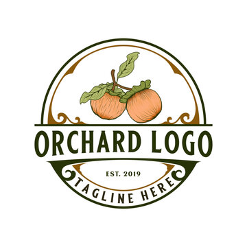 desain vintage retro logo  orchard. vektor