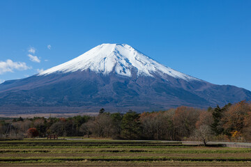 山中湖村からの富士山