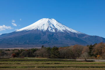 Naklejka premium 山中湖村からの富士山