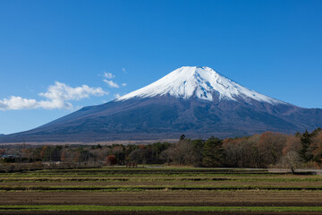 Naklejka premium 山中湖村からの富士山