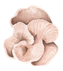 Seaweeds. Underwater ocean plants, sea coral elements. Watercolor illustration.