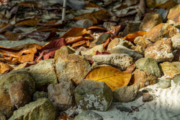 Stone pile background with brown dry leaves
