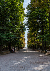 path with tall trees in a park in Venice, Italy