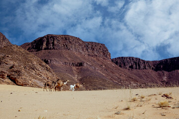 al ula natural rock formations 