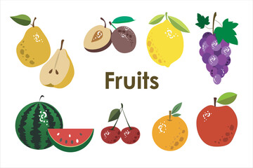 Vector different fruits on white background. Flat fruits