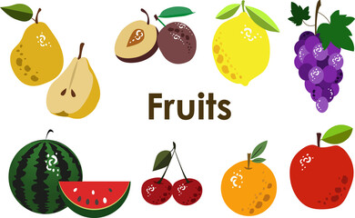 Vector different fruits on white background. Flat fruits