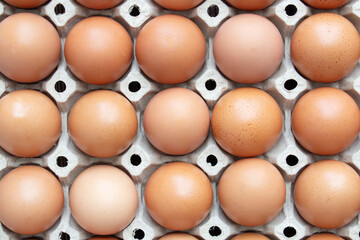 Top view of dozen of eggs in paper tray packaging