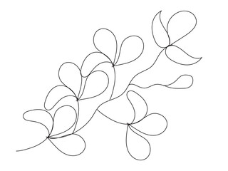 decorative vintage border illustration (natural plant),flower and branches silhouette