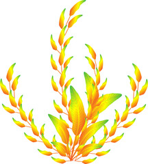 Flower houseplant leaf golden luxury elegance ornament decoration graphic design illustration