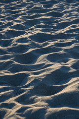 Belgique Flandre Mer du nord sable plage vent 