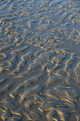 Belgique Flandre Mer du Nord sable erosion marine marée sable