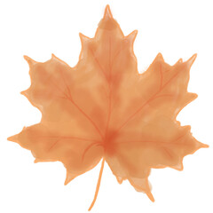 Brown maple leaf.Painted with watercolor on transparent background.Autumn concept.Fall leaves.