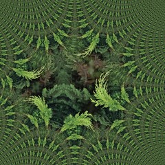 bush and hedge pattern and design with bright new growth against darker evergreen background