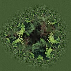 bush and hedge pattern and design with bright new growth against darker evergreen background