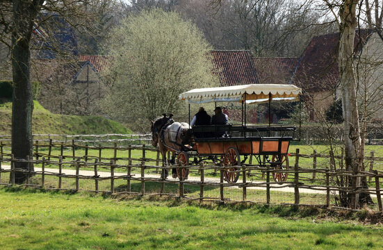horse and carriage in Bokrijk, Belgium