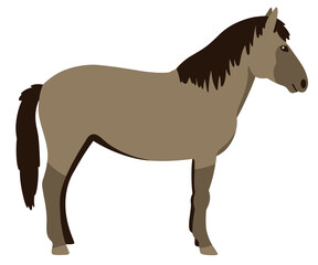 polish horse/konik vector cartoon illustration