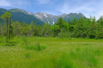 上高地　田代湿原と穂高連峰