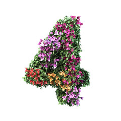 3d rendering of Bougainvillea number