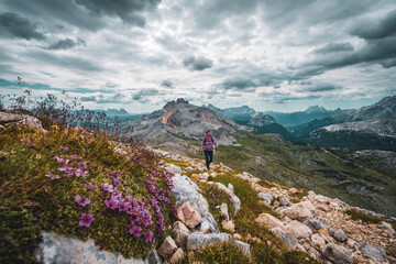 Young woman is hiking on beautiful trail with flowers from Baires Lake to Seekofel in the Dolomite mountains in the morning. Seekofel, Dolomites, South Tirol, Italy, Europe.