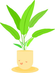 Houseplant flowerpot natural leaf growth indoor decoration graphic design illustration