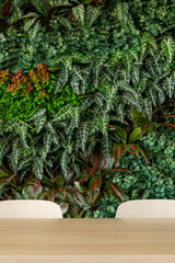 Green living room with chairs and table, vertical garden - stock photo