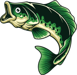 Bass fish illustration with premium quality stock vector