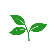 Naklejka premium green leaf icon