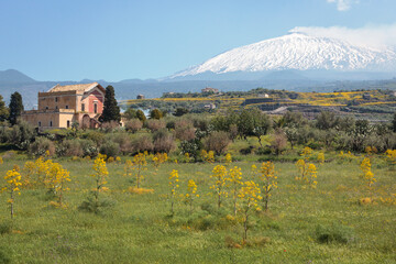 Catania. Paesaggio con Villa verso il vulcano Etna innevato. a primavera