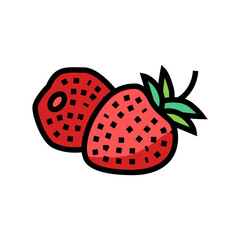 two strawberries color icon vector. two strawberries sign. isolated symbol illustration