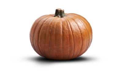 A side view of a ripe orange pumpkin isolated on a transparent background.