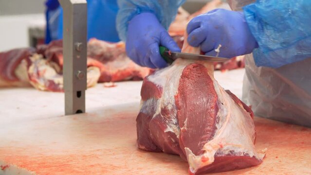 Butcher cutting beef by the conveyor belt