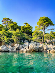 tropical island in the sea