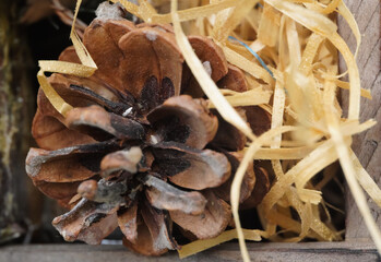 PINE CONE DECORATION CLOSE UP