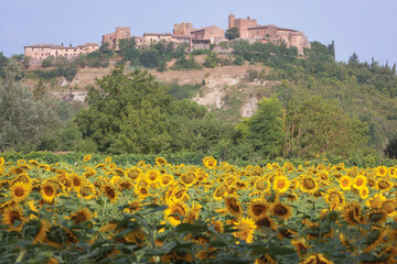  Sarnano, Macerata. Paesaggio con girasoli sullo sfondo del borgo